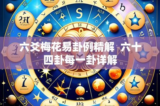 六爻梅花易卦例精解  六十四卦每一卦详解
