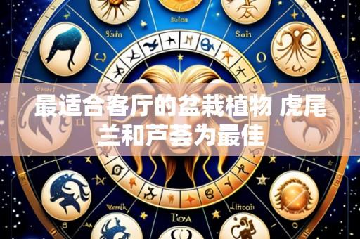 最适合客厅的盆栽植物 虎尾兰和芦荟为最佳