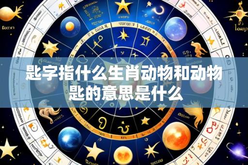 匙字指什么生肖动物和动物 匙的意思是什么