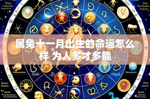 属兔十一月出生的命运怎么样 为人多才多能