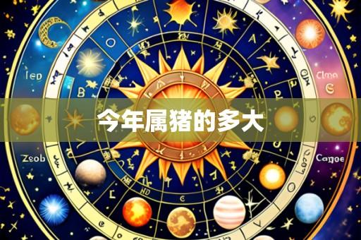 今年属猪的多大