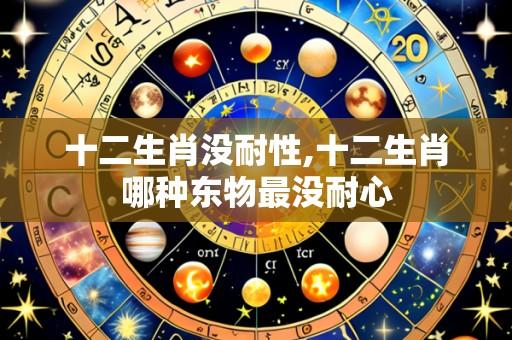 十二生肖没耐性,十二生肖哪种东物最没耐心