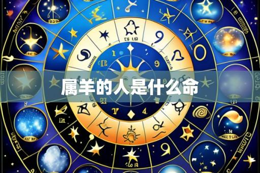 属羊的人是什么命