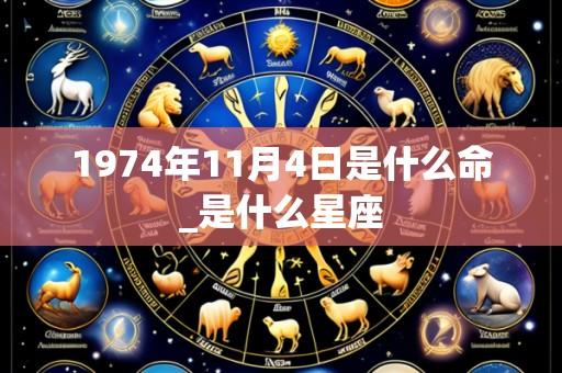 1974年11月4日是什么命_是什么星座