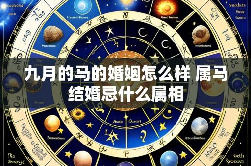 九月的马的婚姻怎么样 属马结婚忌什么属相