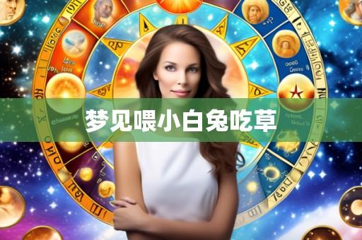 梦见喂小白兔吃草
