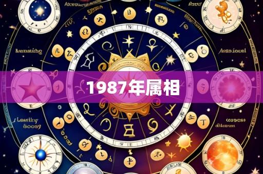 1987年属相