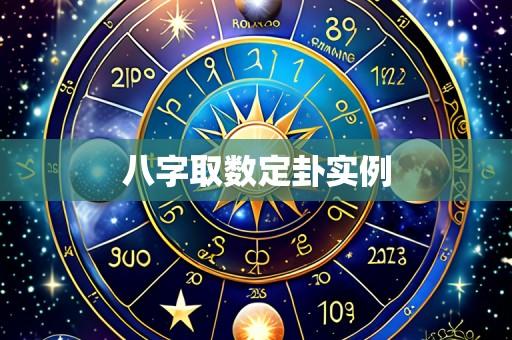 八字取数定卦实例