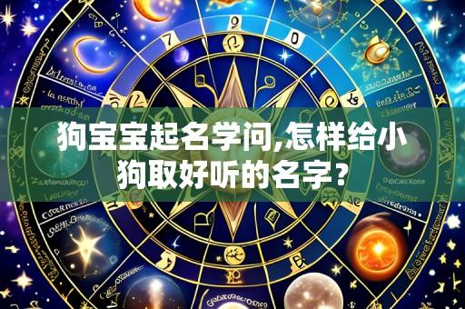 狗宝宝起名学问,怎样给小狗取好听的名字?