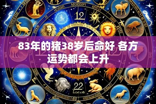 83年的猪38岁后命好 各方运势都会上升