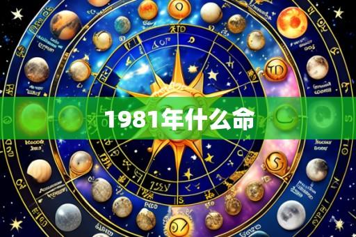 1981年什么命
