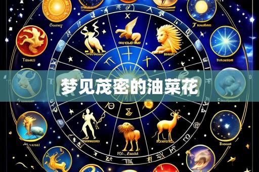 梦见茂密的油菜花