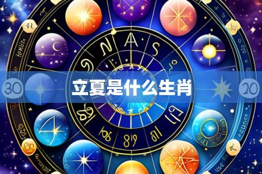 立夏是什么生肖
