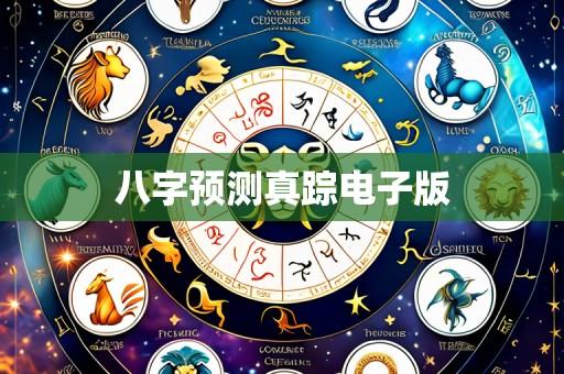 八字预测真踪电子版