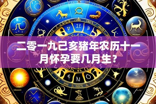 二零一九己亥猪年农历十一月怀孕要几月生?