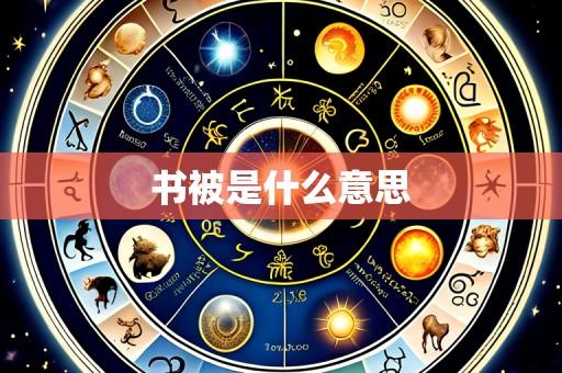 书被是什么意思