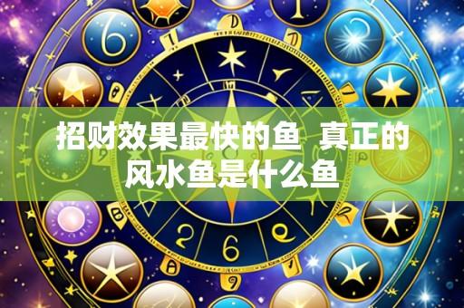 招财效果最快的鱼 真正的风水鱼是什么鱼