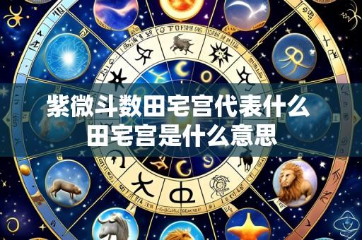 紫微斗数田宅宫代表什么 田宅宫是什么意思