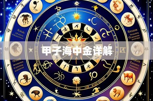 甲子海中金详解