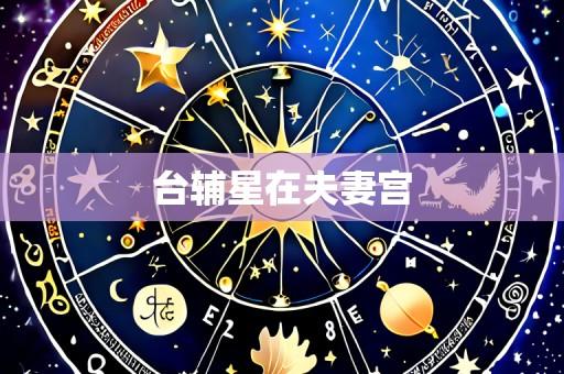 台辅星在夫妻宫