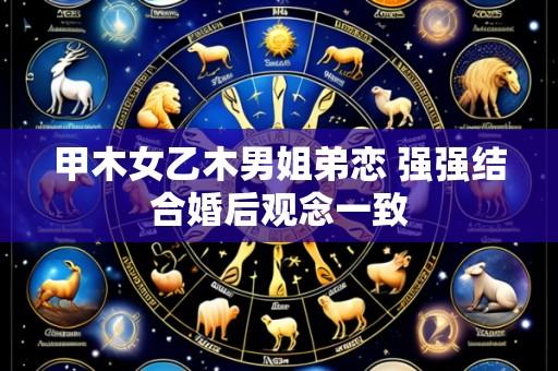 甲木女乙木男姐弟恋 强强结合婚后观念一致