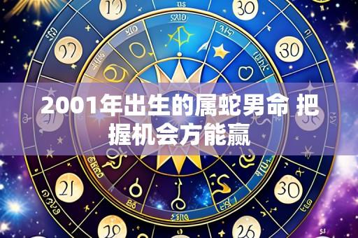 2001年出生的属蛇男命 把握机会方能赢