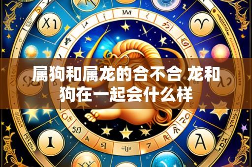 属狗和属龙的合不合 龙和狗在一起会什么样