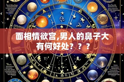 面相情欲宫,男人的鼻子大 有何好处???