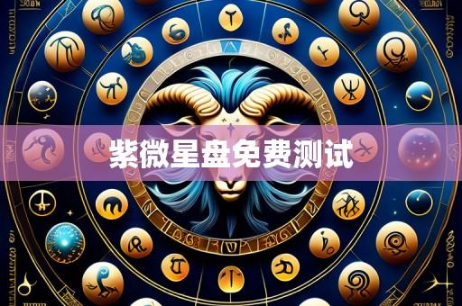 紫微星盘免费测试