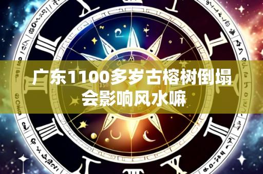 广东1100多岁古榕树倒塌 会影响风水嘛