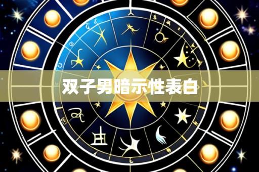 双子男暗示性表白
