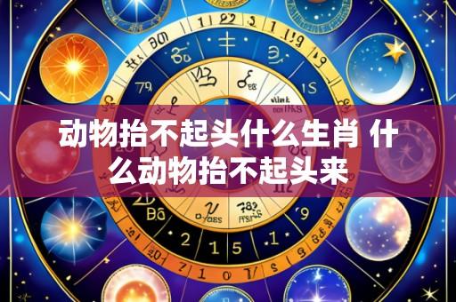 动物抬不起头什么生肖 什么动物抬不起头来