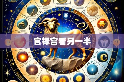 官禄宫看另一半