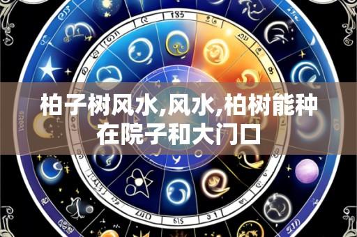 柏子树风水,风水,柏树能种在院子和大门口