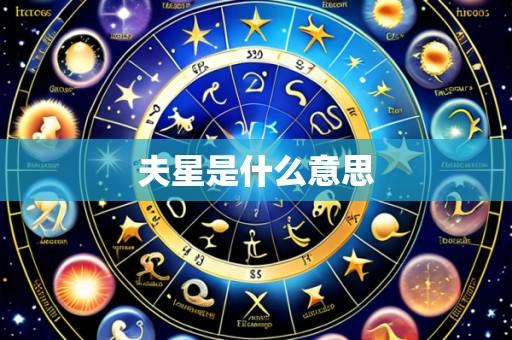 夫星是什么意思