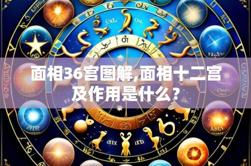 面相36宫图解,面相十二宫及作用是什么?