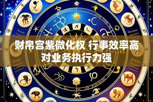 财帛宫紫微化权 行事效率高对业务执行力强