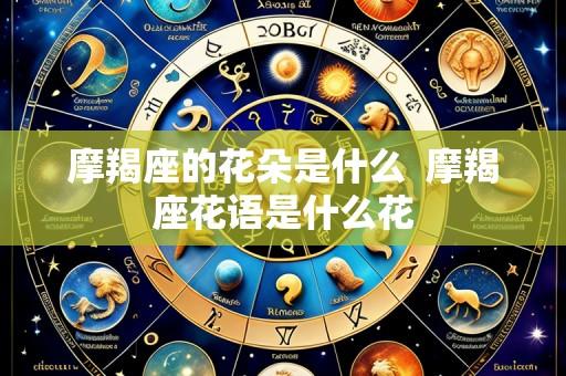 摩羯座的花朵是什么 摩羯座花语是什么花
