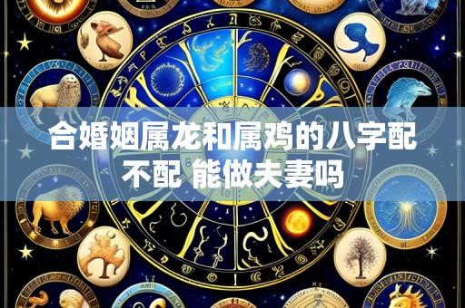 合婚姻属龙和属鸡的八字配不配 能做夫妻吗