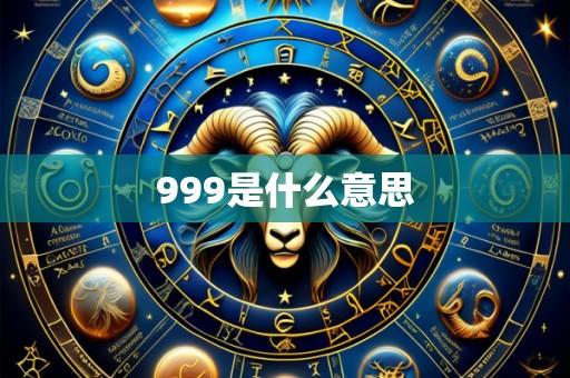 999是什么意思
