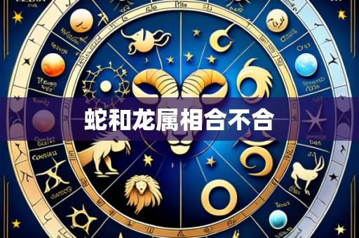 蛇和龙属相合不合