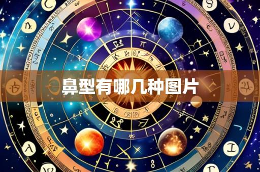 鼻型有哪几种图片