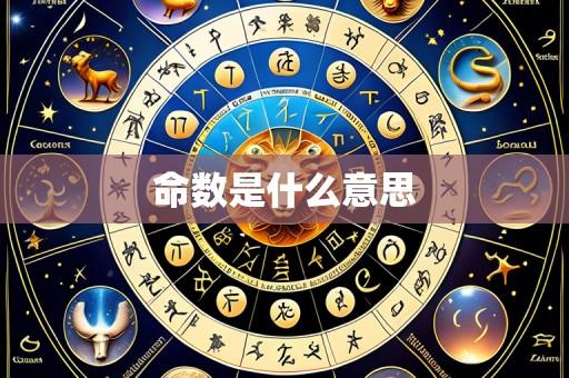 命数是什么意思