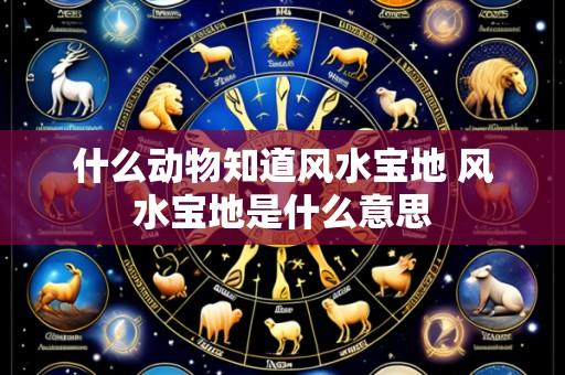 什么动物知道风水宝地 风水宝地是什么意思