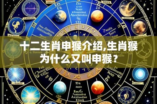 十二生肖申猴介绍,生肖猴为什么又叫申猴？