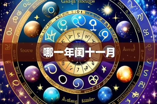 哪一年闰十一月