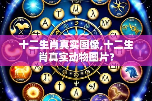 十二生肖真实图像,十二生肖真实动物图片?
