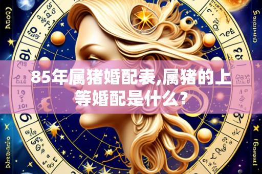 85年属猪婚配表,属猪的上等婚配是什么?