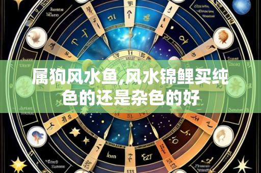 属狗风水鱼,风水锦鲤买纯色的还是杂色的好