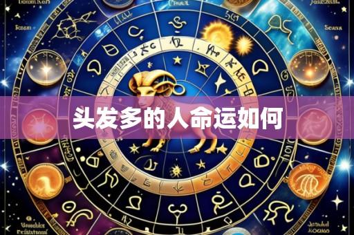 头发多的人命运如何